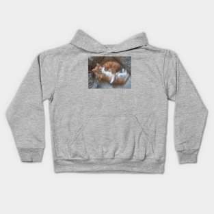 Kitten love Kids Hoodie